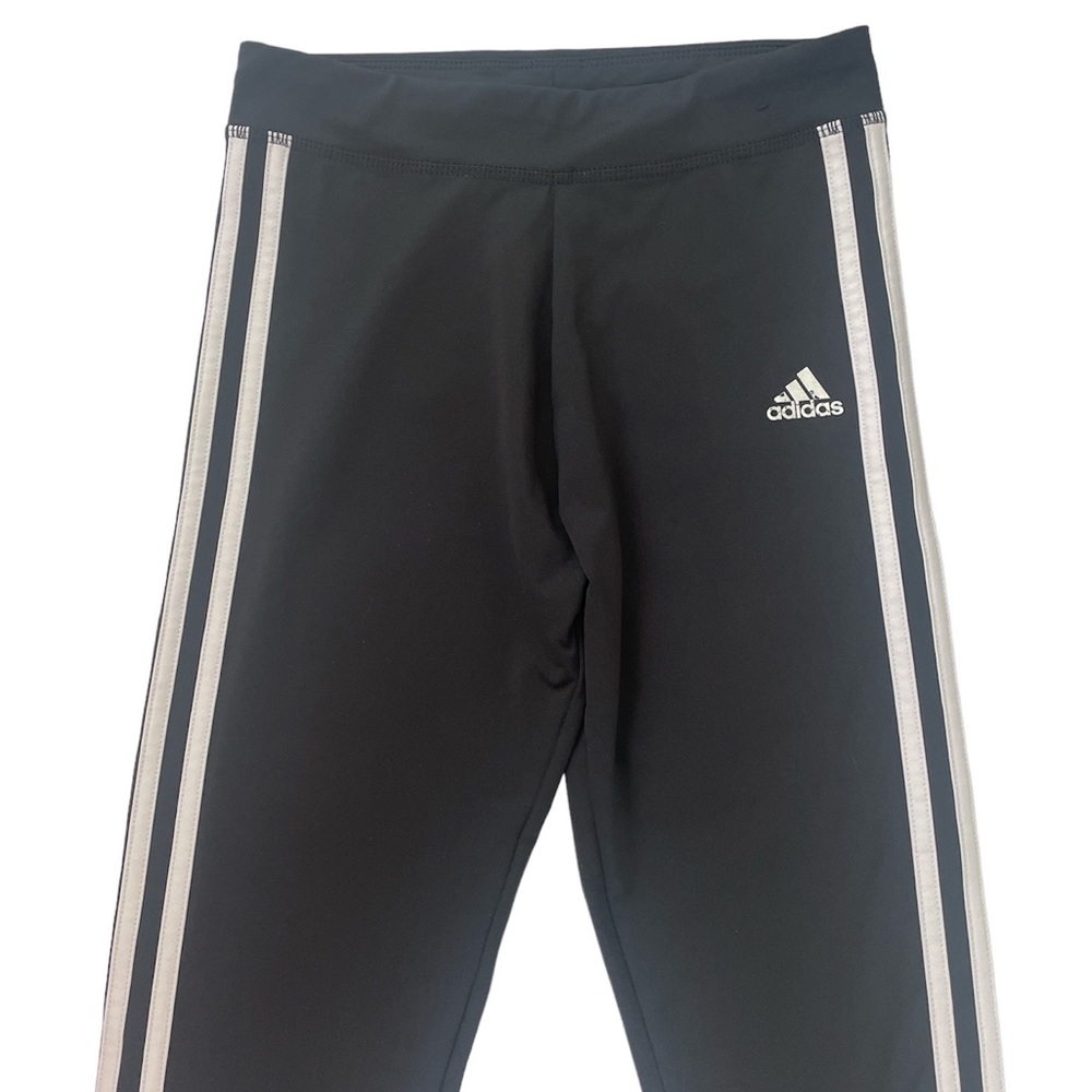 Exercise Leggin